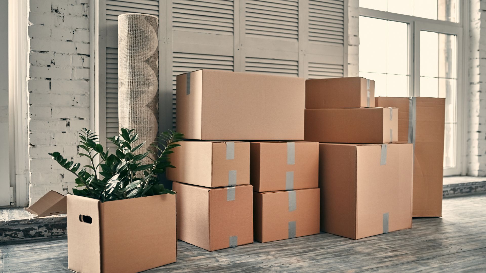 Moving boxes stacked in room with plant and rolled carpet